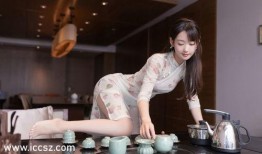 茶缘在线观看,品味茶香，邂逅心灵之旅